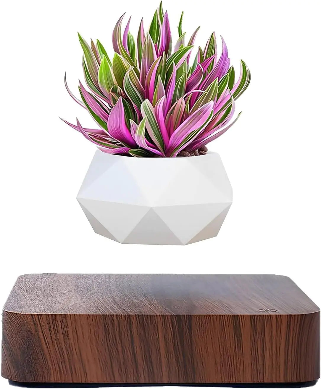 Floating Plant Pot